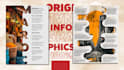 design a unique professional customized infographic design