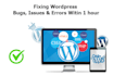 fix wordpress bugs, issues, errors or CSS issue