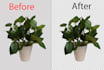 clipping path and background remove