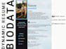 design dynamic resume and biodata
