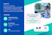 design a professional dutch website or webshop
