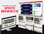 create a responsive and professional sports website