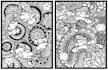 make colouring pages for kids with complex pattern for kdp