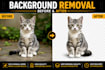 remove object and transparent images or background
