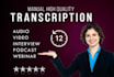 transcribe any audio or video to clean and error free text