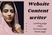 seo content writer, blog post writer, web writer