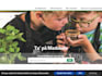 do professional umbraco website development, upgrade