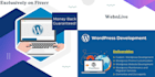 be your trusted on demand wordpress developer