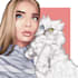 draw your photo with your pet into a vector illustration