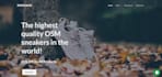 design shopify dropshipping store or shopify website design