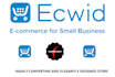 design a highly respoinsive ecwid ecommerce store