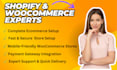 build a wordpress ecommerce website or shopify online store
