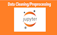 do data preprocessing, data cleaning, data analysis, visualization using python