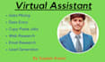 do web research, excel data entry and online search