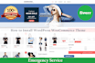 build a responsive wordpress any woocommerce website