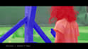 do rotoscope , green screen professionally