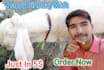 wish happy birthday and sing song with my goats