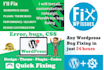 install, customization, redesign, wordpress bug fixing