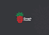 design professional minimalist logo within 24 hours