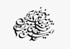design a handwritten calligraphy in farsi persian arabic