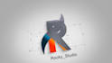 make stunning logo animation videos