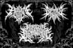 design custom death metal,deathcore,black metal,or slam logo