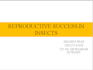 made effective powerpoint presentations in 3 days