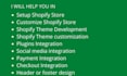 professional shopify theme developer and shopify store expert