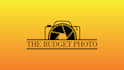produce custom logo animation intro urgently