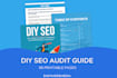 teach you how to SEO audit your own website