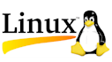 do bash scripting for you