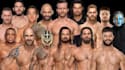 write exquisite and engaging articles on ufc, wwe and boxing