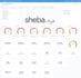 develop metabase dashboards, report, charts, graphs