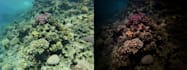 do amazing underwater photography editing