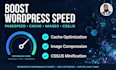 speed up and optimize your wordpress website and improve core web vitals