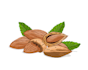 create food illustration and vector