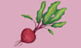 make a realistic food illustration in my style