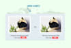do hubspot websites image optimization SEO for better rank