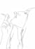 draw a minimalist line art illustration within 2 hours