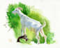 paint a beautiful watercolour illustration