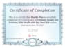 ensure best web traffic conversions via optimized google ads