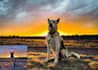 make your pictures amazing
