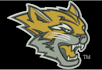 do embroidery digitizing into dst,pes, within few hours