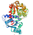 assist you in bioinformatics analysis