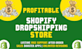 do shopify bug fix, shopify custom coding and theme customization