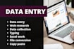 do accurate data entry, copy paste, web research, excel data entry in 24 hours