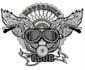 do dst, pes into embroidery digitizing within few hours