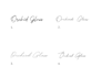 do your animated signature logo