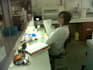 do phd quality research and summaries
