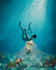 design a 3d music cover artwork plus animation